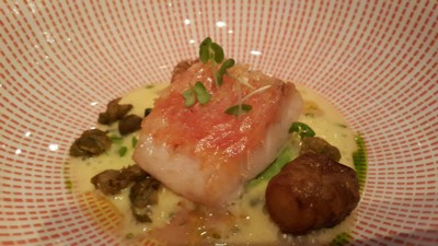 ปลาคินเมได