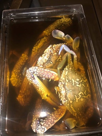 วิธีทำ ปูม้าดองน้ำปลา สูตรตามใจฉัน