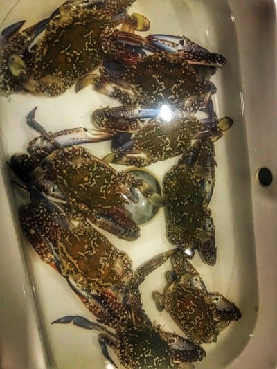 วิธีทำ ปูม้าดองน้ำปลา สูตรตามใจฉัน