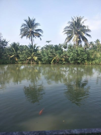 บรรยากาศ