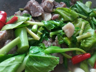 วิธีทำ โคขุนคะน้าน้ำมันหอย วิธีทำ โคขุนคะน้าน้ำมันหอย