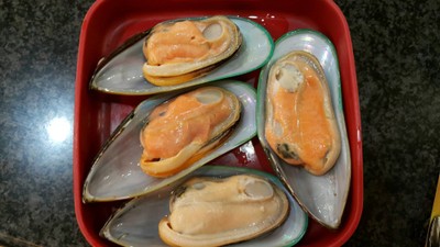 หอยแมลงภู่นิวซีแลนด์