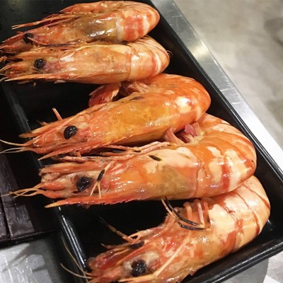 Shrimp issue