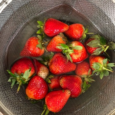 วิธีทำ ซานต้าจิ๋ว 