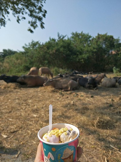 ไอติมรสต่างๆ