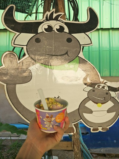 ไอติมรสต่างๆ