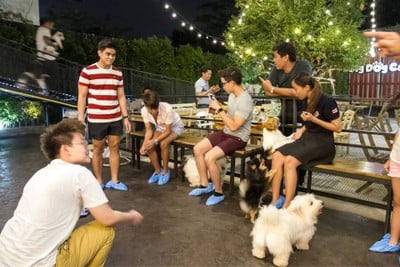 บรรยากาศ Big Dog Cafe  Ratchada