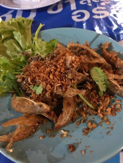 เมนูของร้าน เรือนแพประมง