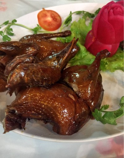 นกพิราบไฟแดงหนังกรอบ