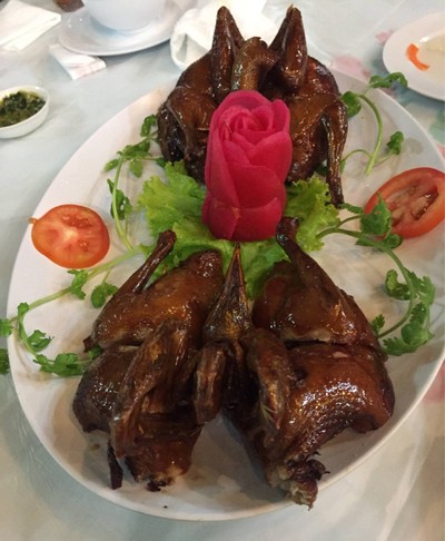 นกพิราบไฟแดงหนังกรอบ