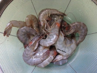 วิธีทำ กุ้งชุบเกล็ดขนมปังทอด วิธีทำ กุ้งชุบเกล็ดขนมปังทอด