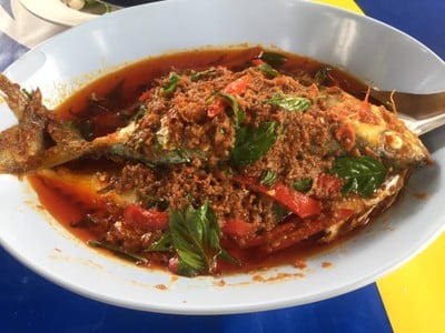 ปลาทูฉู่ฉี่