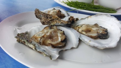 แพครูวิทย์ สาขา 1