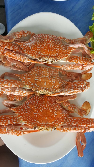 แพครูวิทย์ สาขา 1