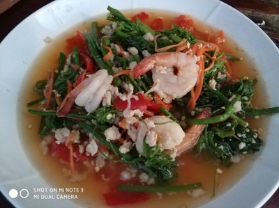 ยำยอดฟักแม้ว