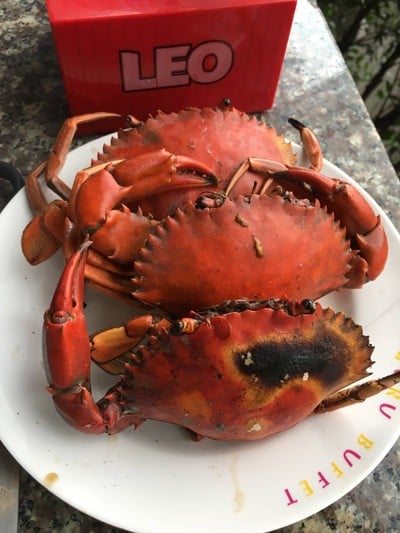 Guru Buffet Samui Samui