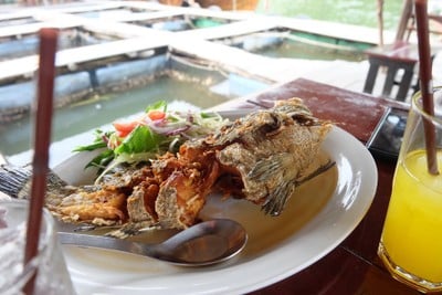 เมนูของร้าน กระชังขนาบน้ำวิวซีฟู้ด