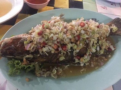 ปลากะพงลุยสวน