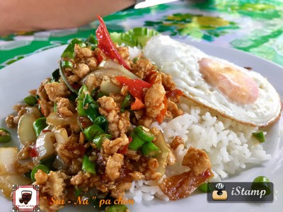 ผัดกะเพราราดข้าวไข่ดาว