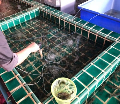 อ่าวไทยซีฟู๊ด&บุฟเฟ่ต์ทะเลอ่าวไทย สาขาพัทยา