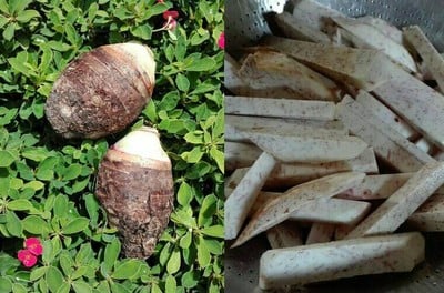 วิธีทำ เผือกหิมะ