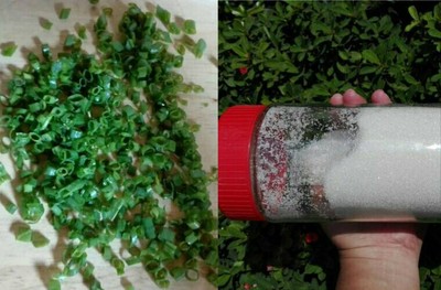 วิธีทำ เผือกหิมะ