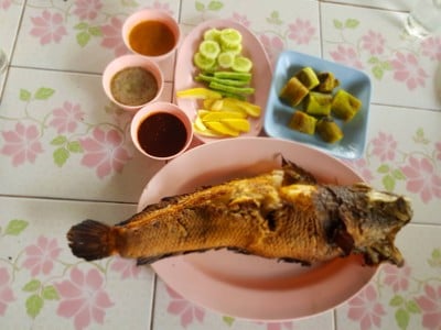 ปลาช่อนอบฟาง