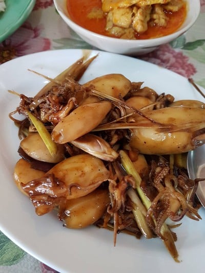 ใต้ต้นมะม่วง