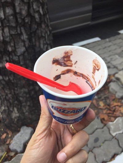 Blizzard Newyork Cheese Cake