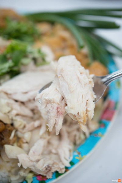 ข้าวมันไก่ มข. มหาวิทยาลัยขอนแก่น
