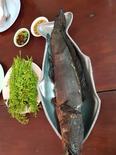 ปลาช่อนเผา สะเดาน้ำปลาหวาน