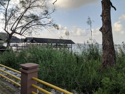 บรรยากาศ ป้าใหญ่