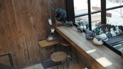 The Birder's Lodge Cafe (BL Cafe & Grill)