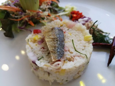 ข้าวแมว