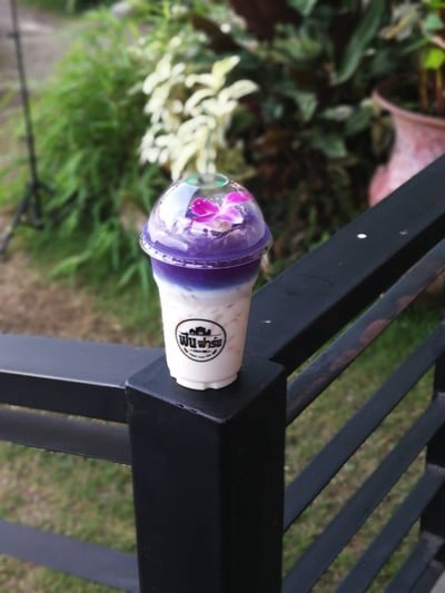 ชานมอัญชัน