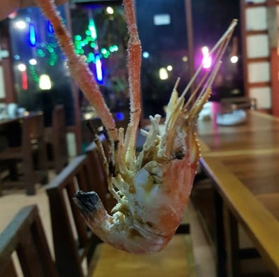 กุ้งเผาเกลือ