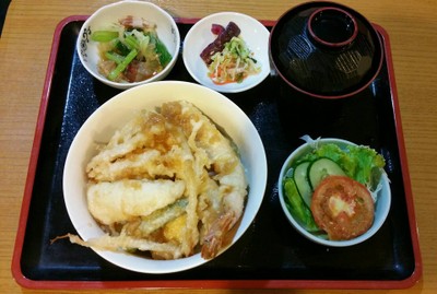Tendon Set