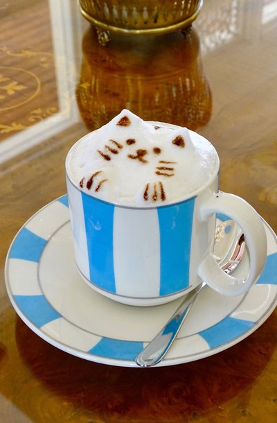 Cappuccino 3D