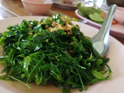 ผักหวานผัดน้ำมันหอย