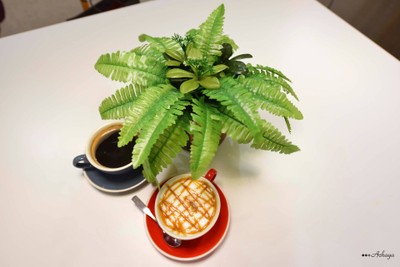 Hot Caramel Macchiato