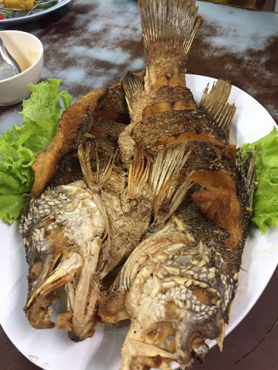 ปลากะพงทอดราดน้ำปลา