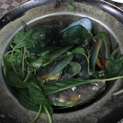 หอยแมลงภู่อบใบโหระพา