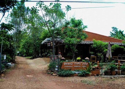 ดาราดาเลบ้านดินฟาร์ม