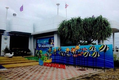 สถานแสดงพันธุ์สัตว์น้ำภูเก็ต (Phuket Aquarium)