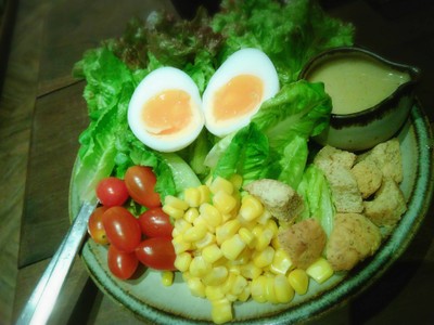 สลัดผักออร์แกนิค (ไข่ต้ม) น้ำสลัดข้าวกล้องกระชายดำ