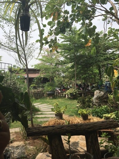 บรรยากาศ นิวไก่ย่างบัวตอง สาขา 2