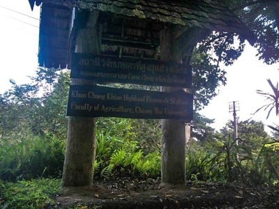 สถานีวิจัยเกษตรที่สูงขุนช่างเคี่ยน สถานีวิจัยเกษตรที่สูงขุนช่างเคี่ยน
