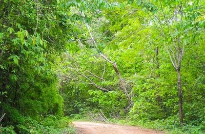 เขตห้ามล่าสัตว์ป่าถ้ำผาทิพย์