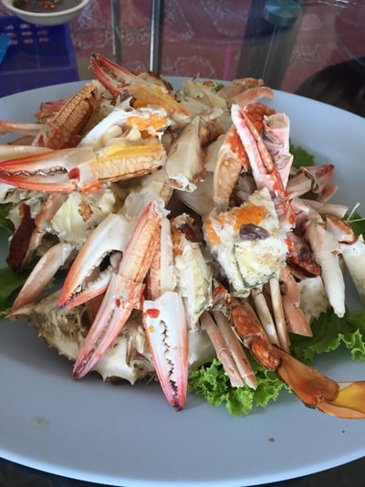 กุ๊กมันทะเล