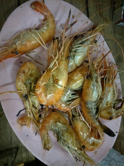 กุ้ง